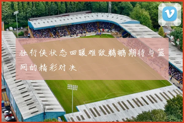 独行侠状态回暖难敌鹈鹕期待与篮网的精彩对决