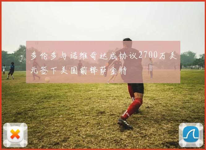 多伦多与诺维奇达成协议2700万美元签下美国前锋萨金特
